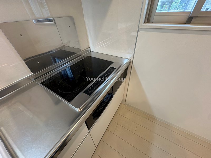 HIGH LANDHONSON その他4