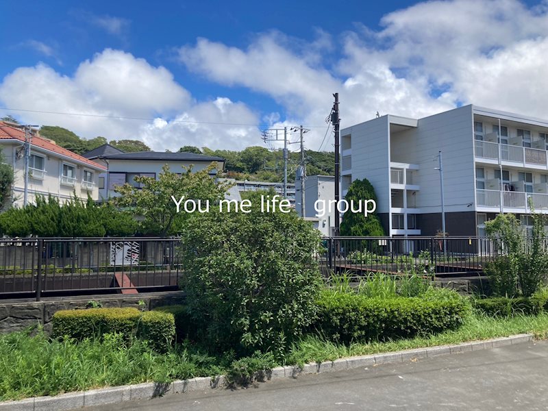 ピオニー その他4