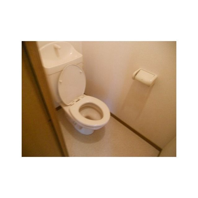 アムールTAO その他4