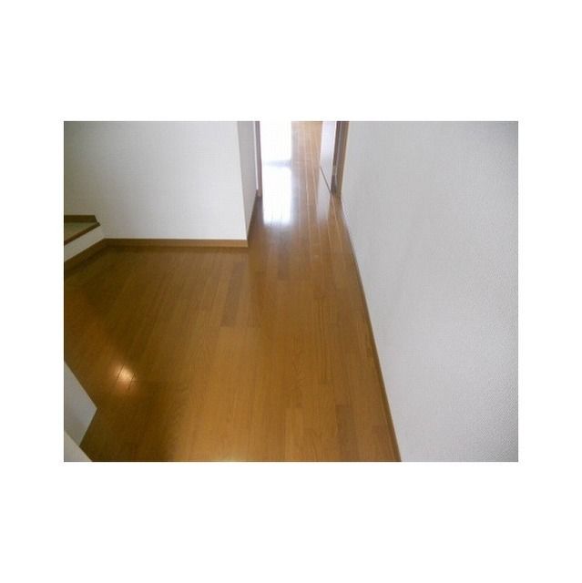 アムールTAO その他6