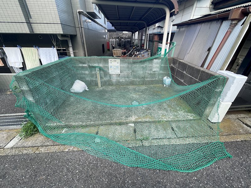 セミーランドヒルの写真34