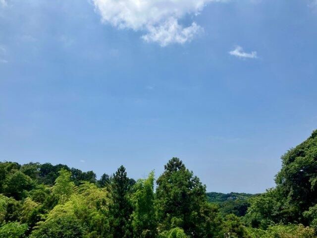 山ノ内戸建 その他1