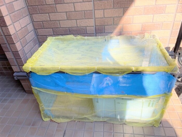 パインヒル鵠沼 その他12