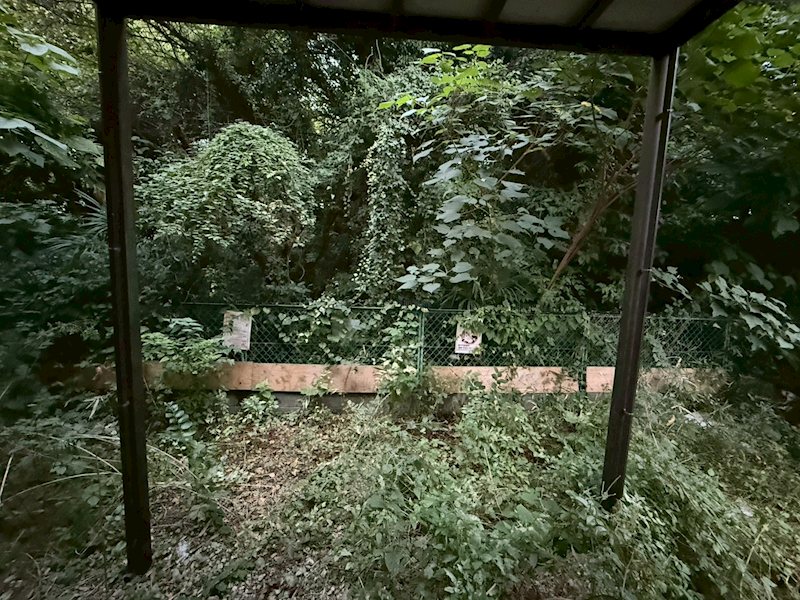 第2湘南ハイツ その他3