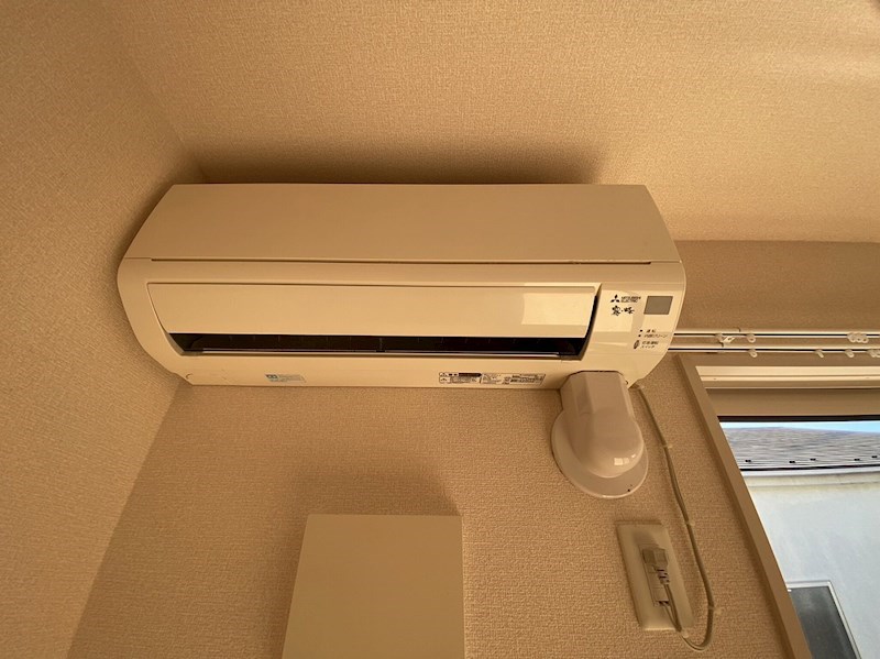 アムール その他2