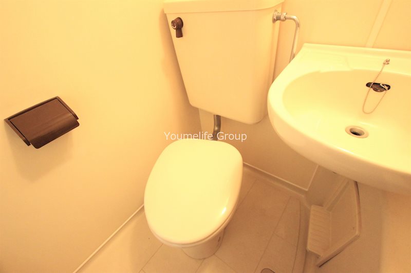 フリージア その他5