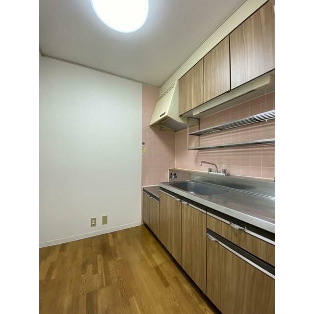 グリーンパーク天野 キッチン
