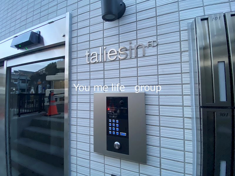 ｔａｌｉｅｓｉｎ　ＦＤ その他外観1