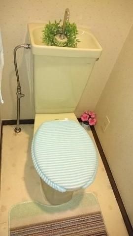 ドミノ箱根マンション トイレ