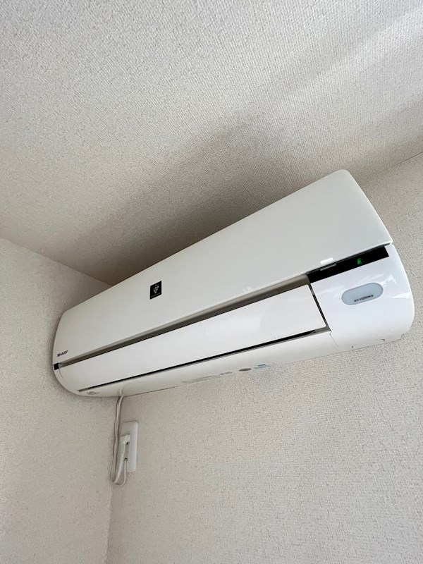 Belle  Fleuve その他4