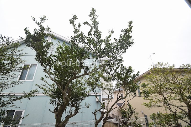 メゾンド萩 その他4