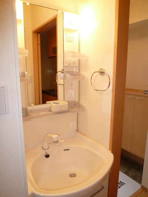 GEMINI ONNA その他2