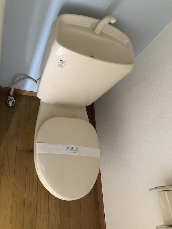 バブサイトNV その他1