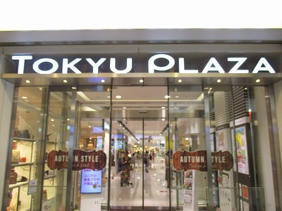 フローラルパレス元町 周辺画像4