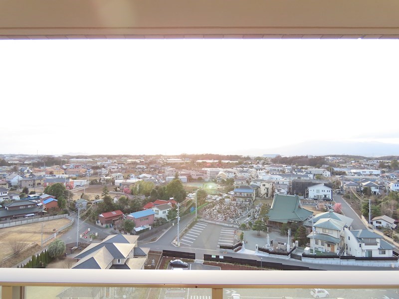 esperanza桜（エスペランササクラ） その他4