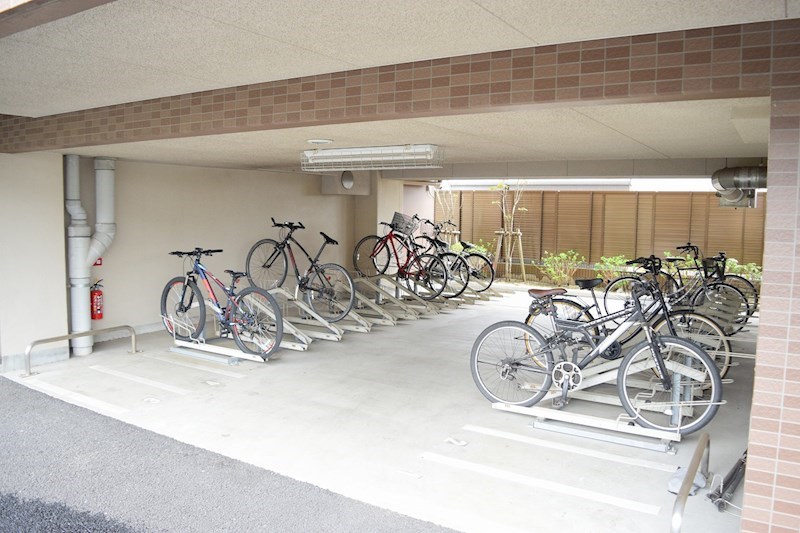 esperanza桜（エスペランササクラ） その他14