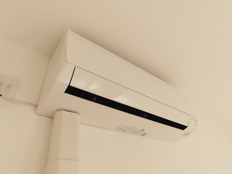 esperanza桜（エスペランササクラ） その他6