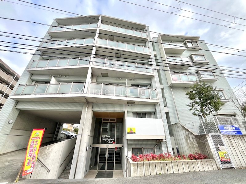 ショアーズ鵠沼フラット 503号室 外観