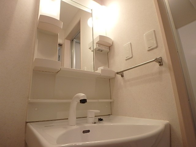 パーシモン その他2