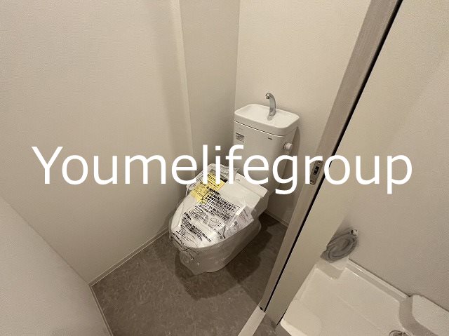 サン・サンスプリング その他1