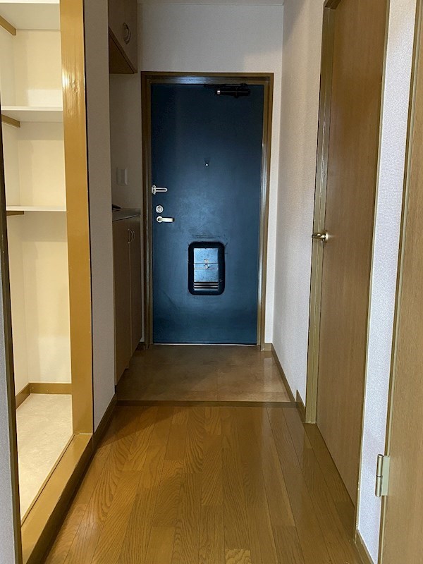 タウンコート湘南 玄関