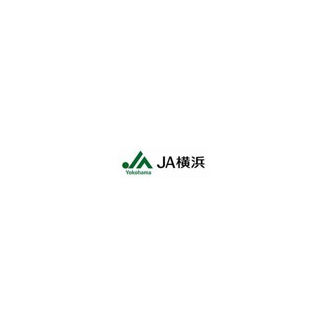 ハーミットクラブハウス大船富士見町 周辺画像8