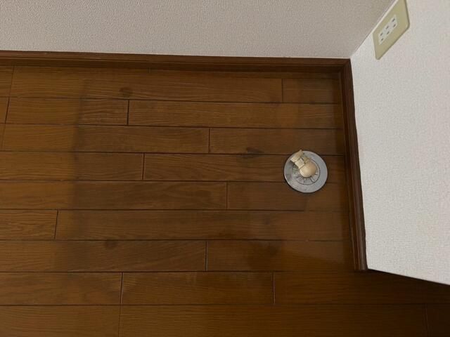 パレーシャル湘南館Ⅲ その他4