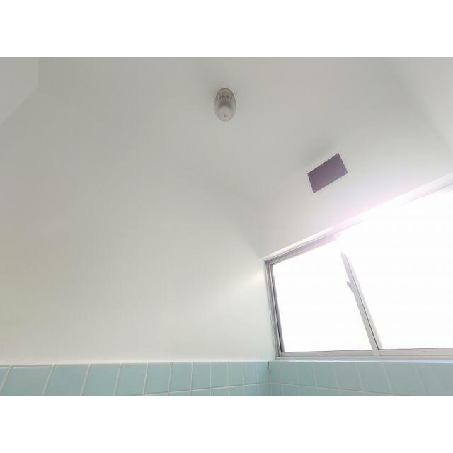 その他11
