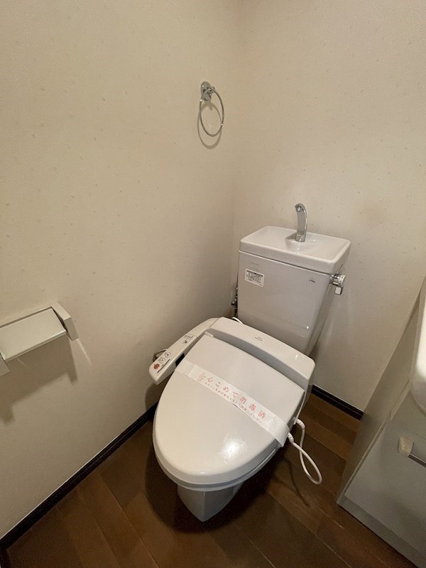 ラズベリーリーフ その他1