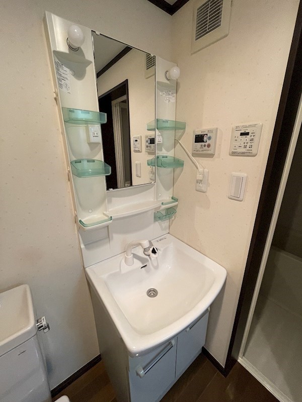 ラズベリーリーフ その他2