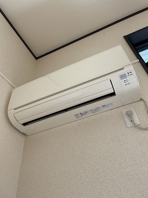 ラズベリーリーフ その他4