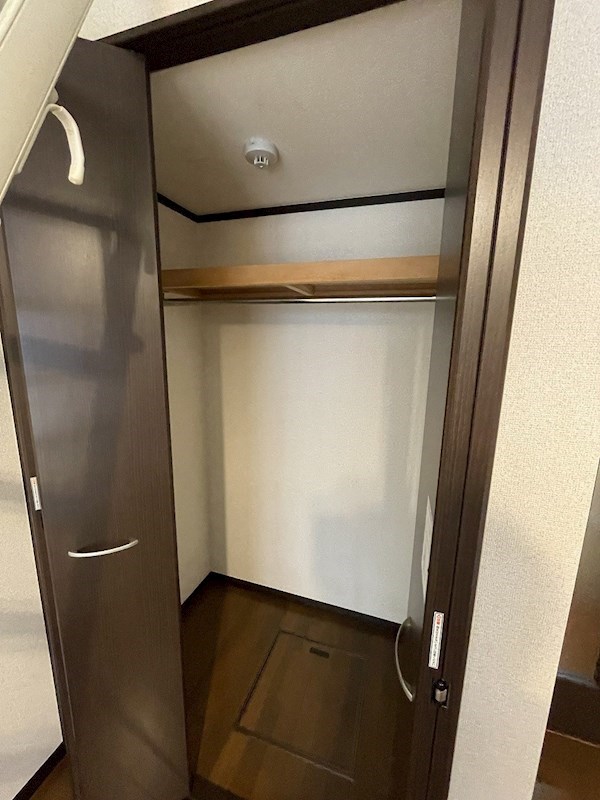 ラズベリーリーフ その他5