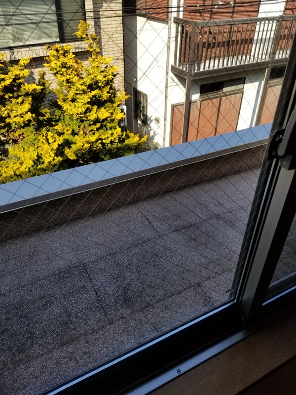 デザインコート鎌倉 その他7