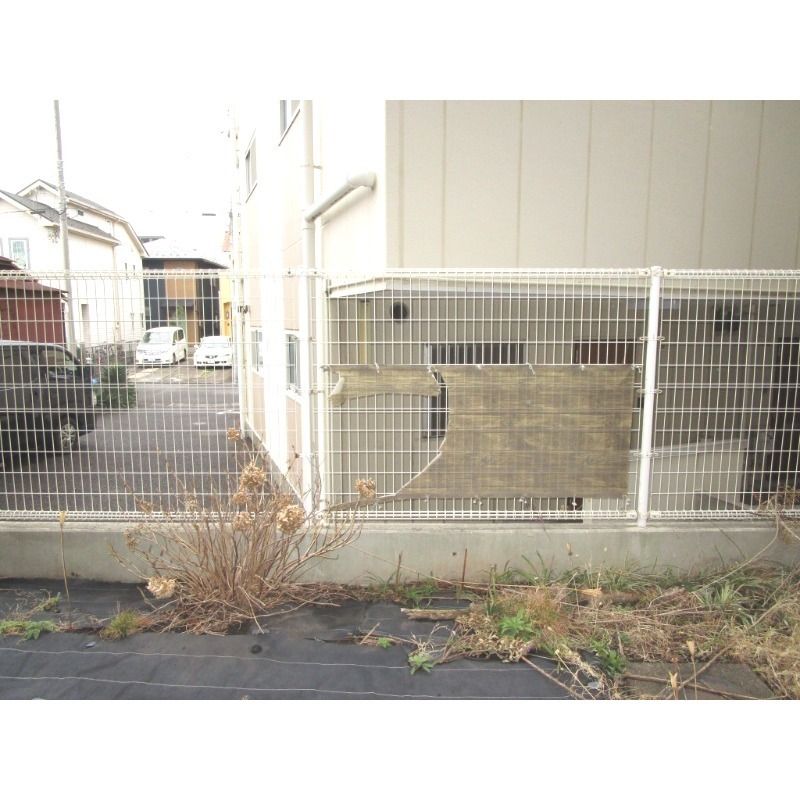 クリオ平塚壱番館 その他外観2