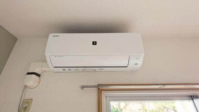 シェルコート その他3