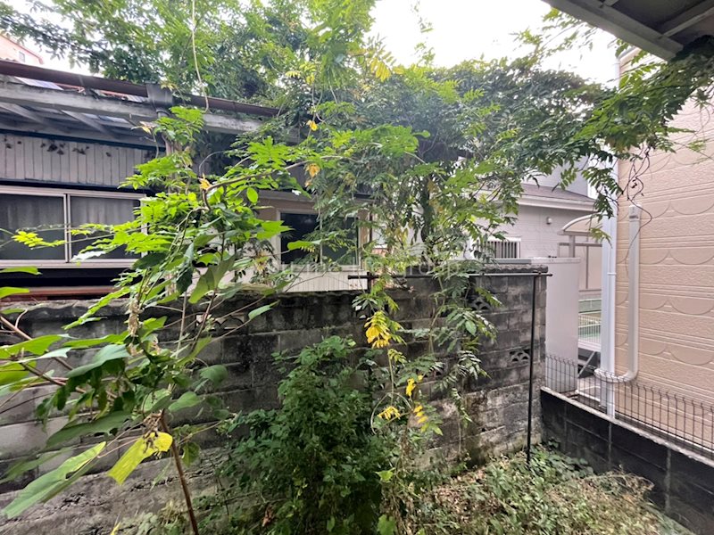 Brownie Hadano その他1