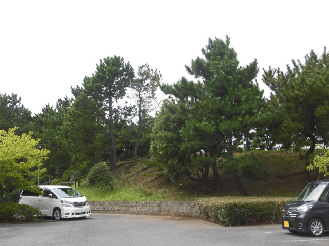 surf more 周辺画像4