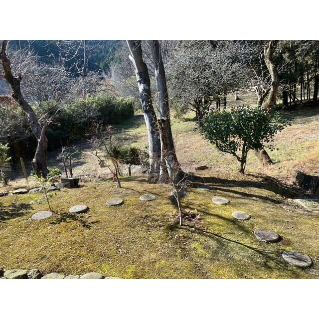 伊勢原大山　戸建 その他6