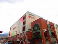 ピアゴ 大雄山店 リヴェール A棟 周辺画像2