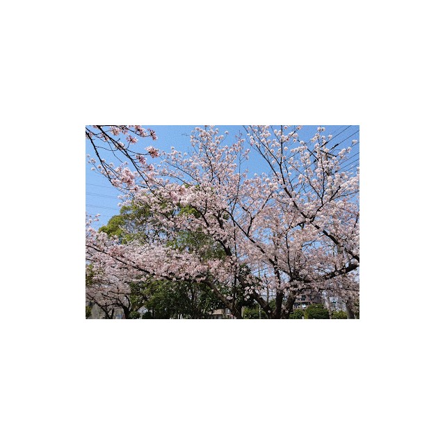 ハイツサムウェイ 周辺画像5