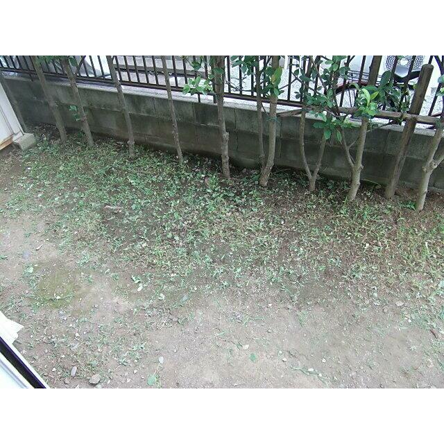 テラス湘南 ベランダ