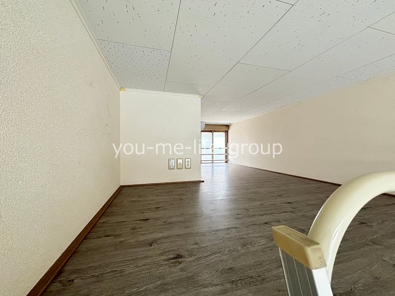 パフィオ その他3