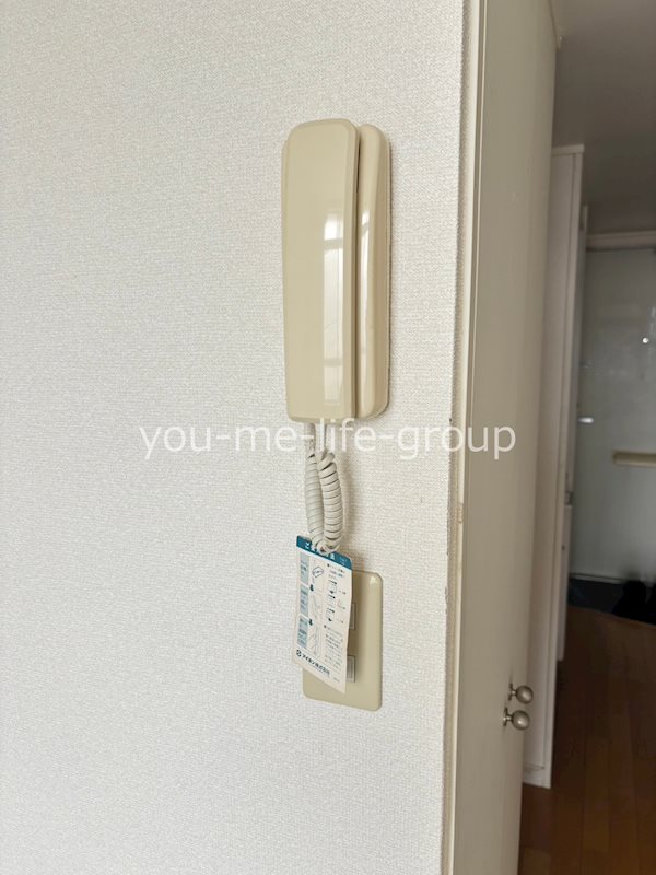 パフィオ その他4