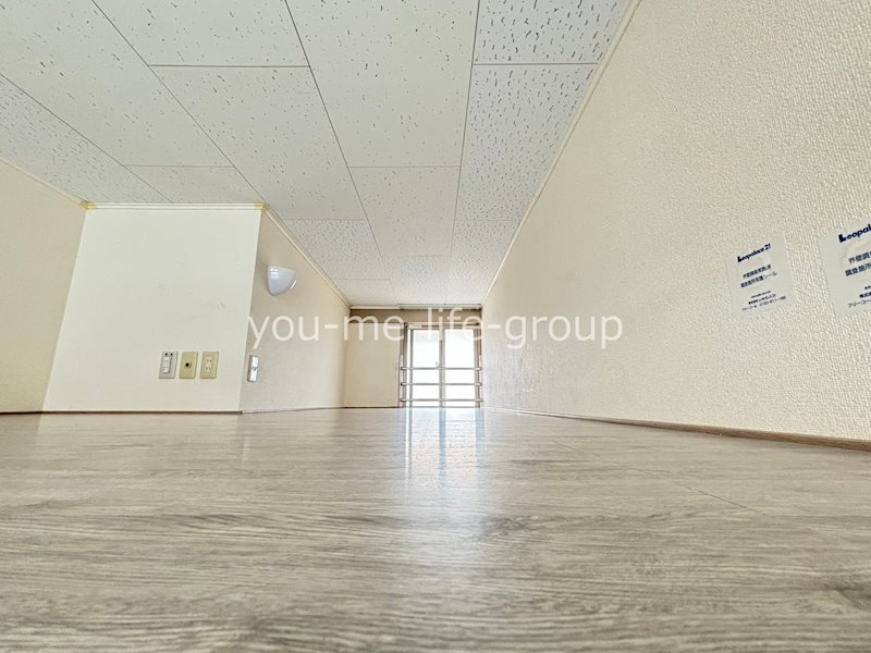 パフィオ その他6