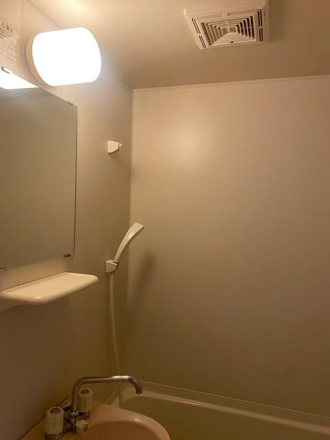 パフィオ その他2