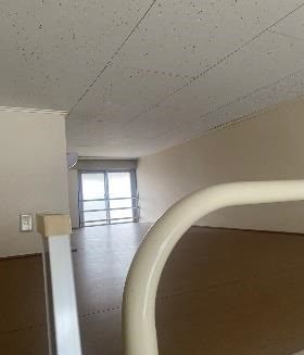 パフィオ その他4