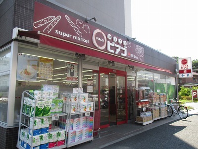 スカイパルB棟 周辺画像5
