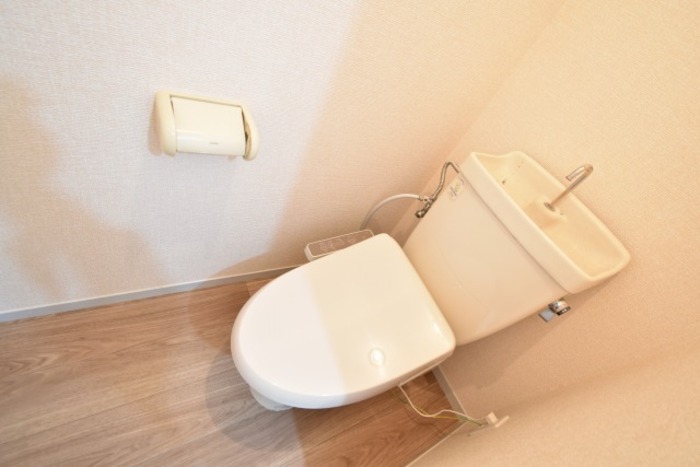 ハイムセルシオ その他2