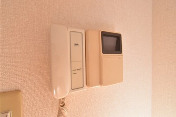 アゼリア その他5