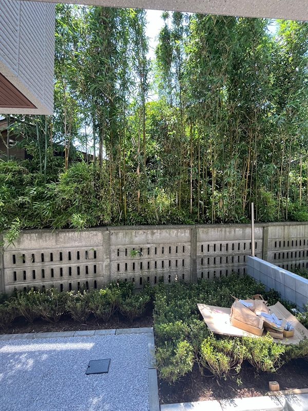 AI・Grandir鎌倉 その他4